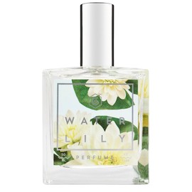 Water Lily
