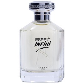 Esprit Infini