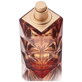 Mémoires d'une Palmeraie 17