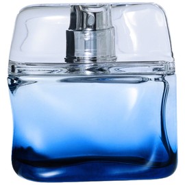perfume Bleu Intense