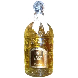 perfume Attrape Coeur