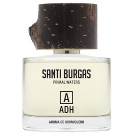 Aroma de Hormiguero
