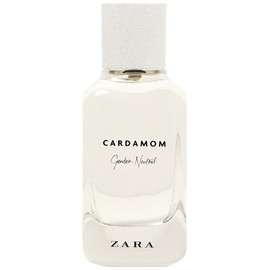 Cardamom - Gender Neutral