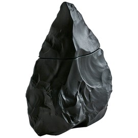 Neandertal Dark 2015