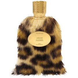 perfume Asian Amber