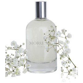 perfume Morreale Pour Homme