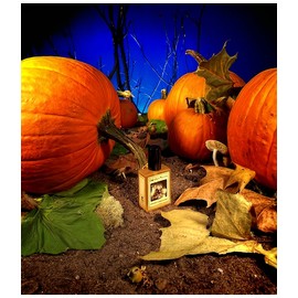 Gunnerson's Pumpkin Patch
