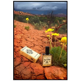 Desert Thunderstorm