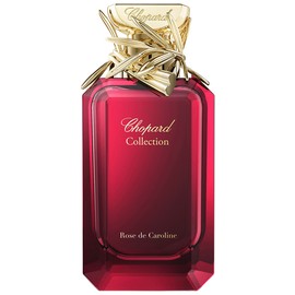 Rose de Caroline