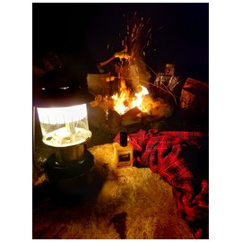 Camp Willow