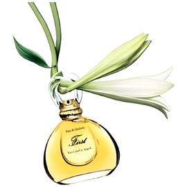 perfume First Jasmin de Chine