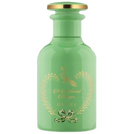 perfume A Nocturnal Whisper Perfume Oil