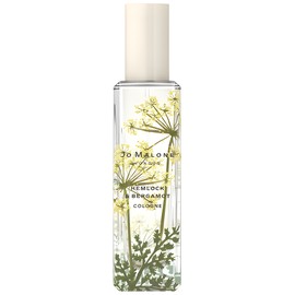 Hemlock & Bergamot