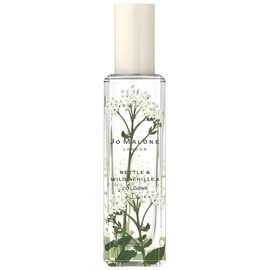 Nettle & Wild Achillea