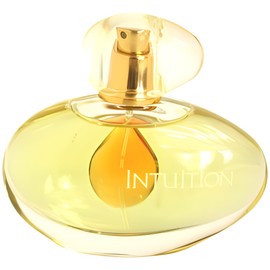 Intuition
