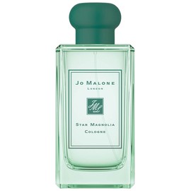 Star Magnolia Cologne (2019)