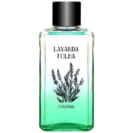 perfume Lavanda Folha