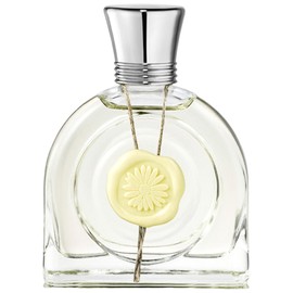 Fleur Lumière