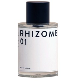 Rhizome 01