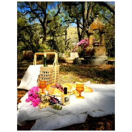 Victorian Picnic