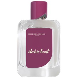 Electric Heart