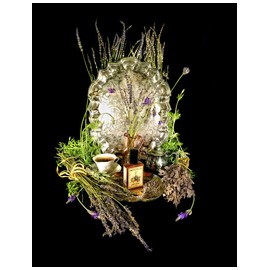 Estate Lavender