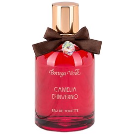 Camelia d'Inverno