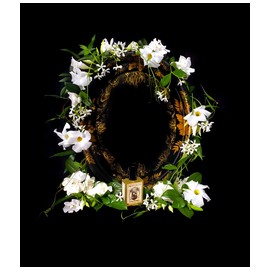 Flowers Nocturnal
