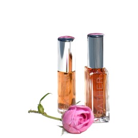 perfume Rainwater Rose