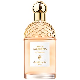 Aqua Allegoria Pamplelune