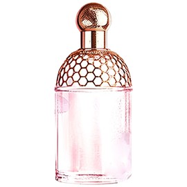 Aqua Allegoria Cherry Blossom