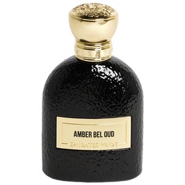 perfume Amber Bel Oud