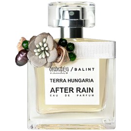 After Rain