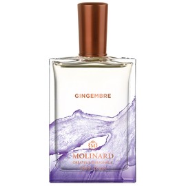 Gingembre