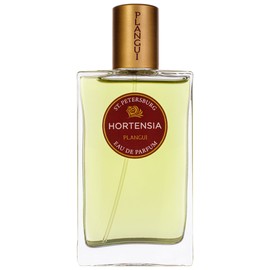 Hortensia Гортензия