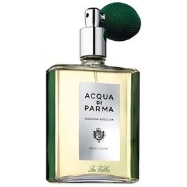 perfume Colonia Assoluta In Villa