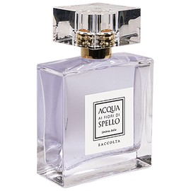 perfume Raccolta