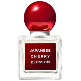 Japanese Cherry Blossom 2020 Edition