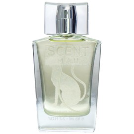 perfume Mau Scent