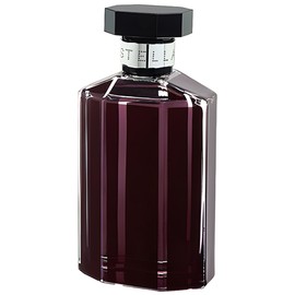 perfume Stella Rose Absolute