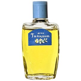 perfume Гиацинт (Hyacinth)
