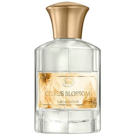 perfume Citrus Blossom