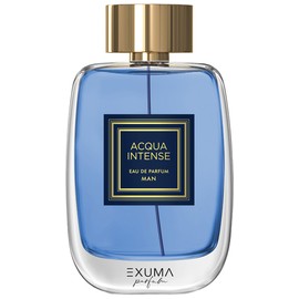 perfume Acqua Intense Man