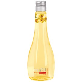 perfume Acqua Essence Vanilla