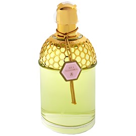 Aqua Allegoria Rosa Magnifica
