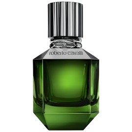 perfume Paradise Found For Men