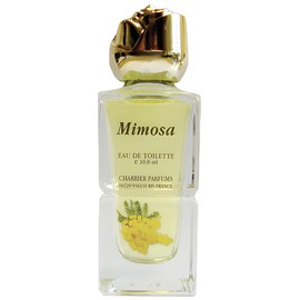 perfume Mimosa
