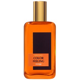 Color Feeling Orange