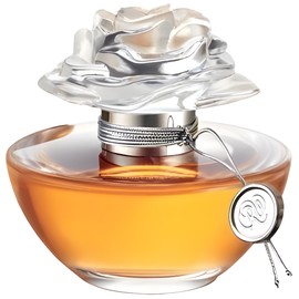 In Bloom by Reese Witherspoon
