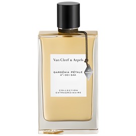Gardenia Petale